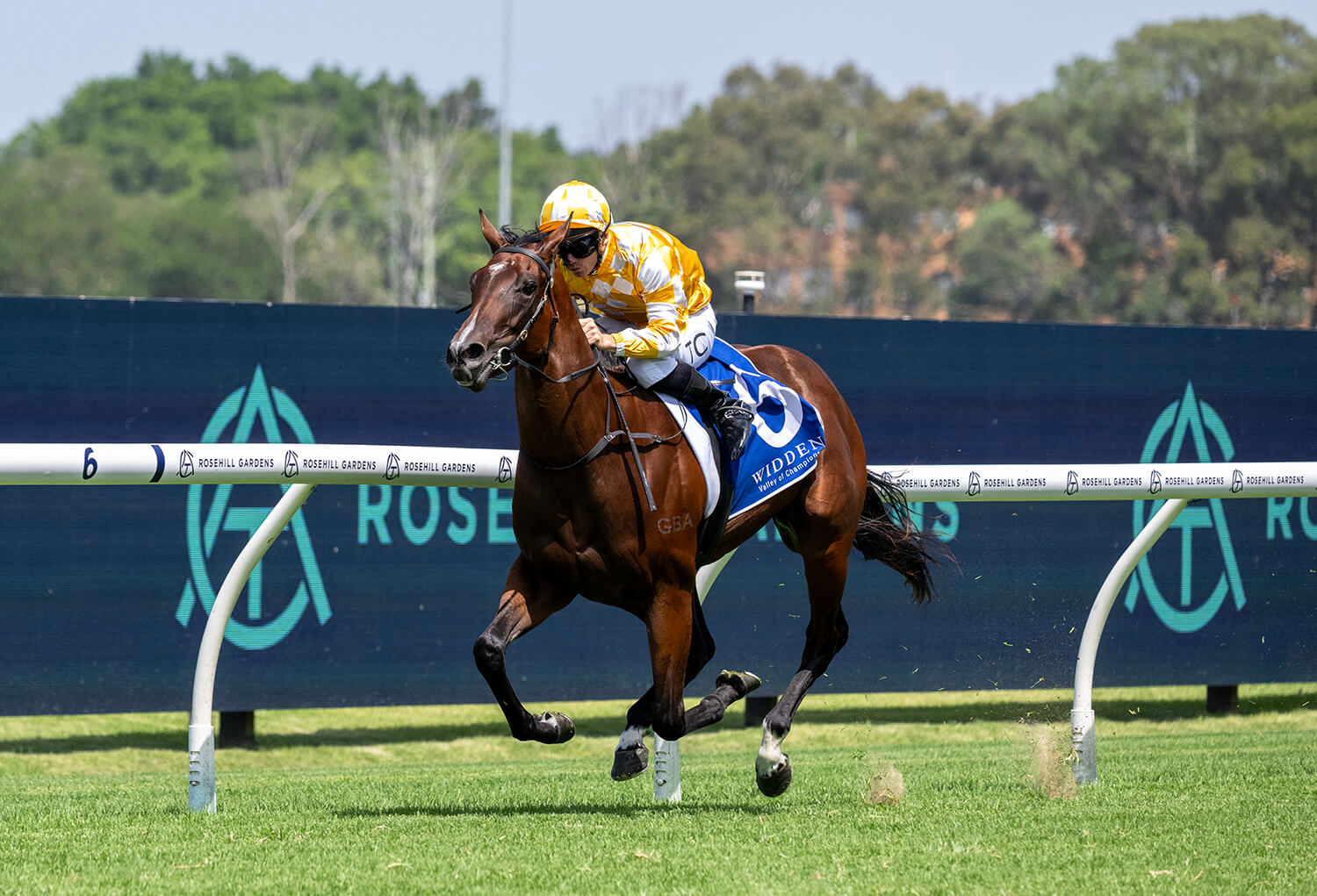 Lady Of Camelot winning the G3 Widden Stakes at Rosehill Gardens