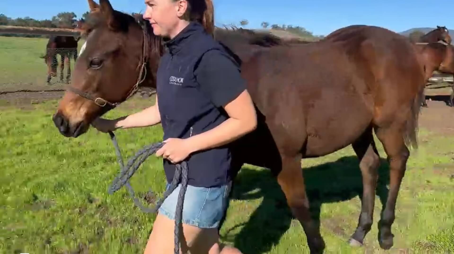 I Am Invincible x Platinum Jubilee Weanling Video poster