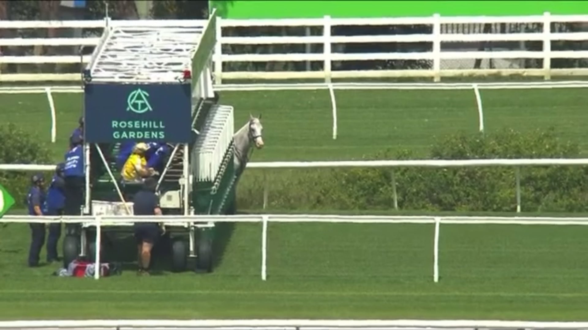 G3 Widden Stakes race replay poster